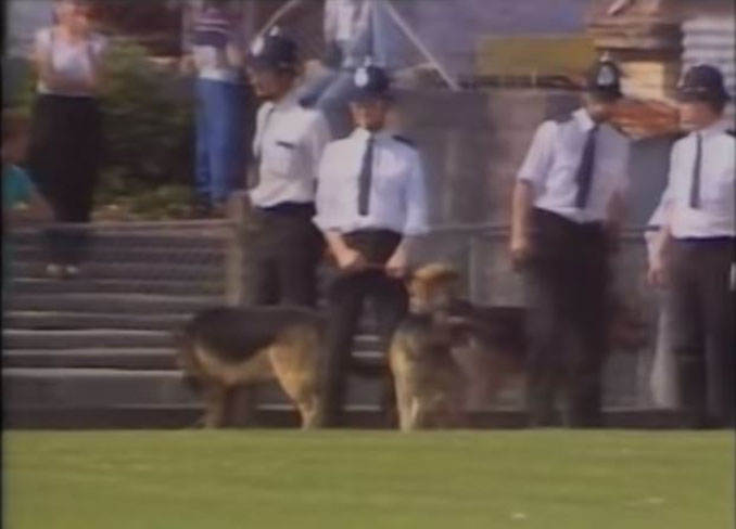 Policías con sus pastores alemanes en Plainmoor - Odio Eterno Al Fútbol Moderno 