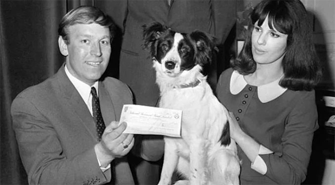 David Corbett y su perro Pickles, que recuperó el trofeo de la Copa del Mundo en 1966 - Odio Eterno Al Fútbol Moderno